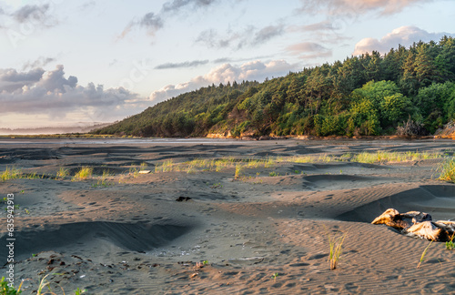 Moclips Shoreline Landscape 5 photo