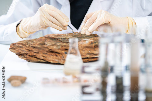 Geology science laboratory research concept, sample test analysis of nature dirtied ground in environment and ecology experiment, agriculture agronomy material to working with scientific equipment