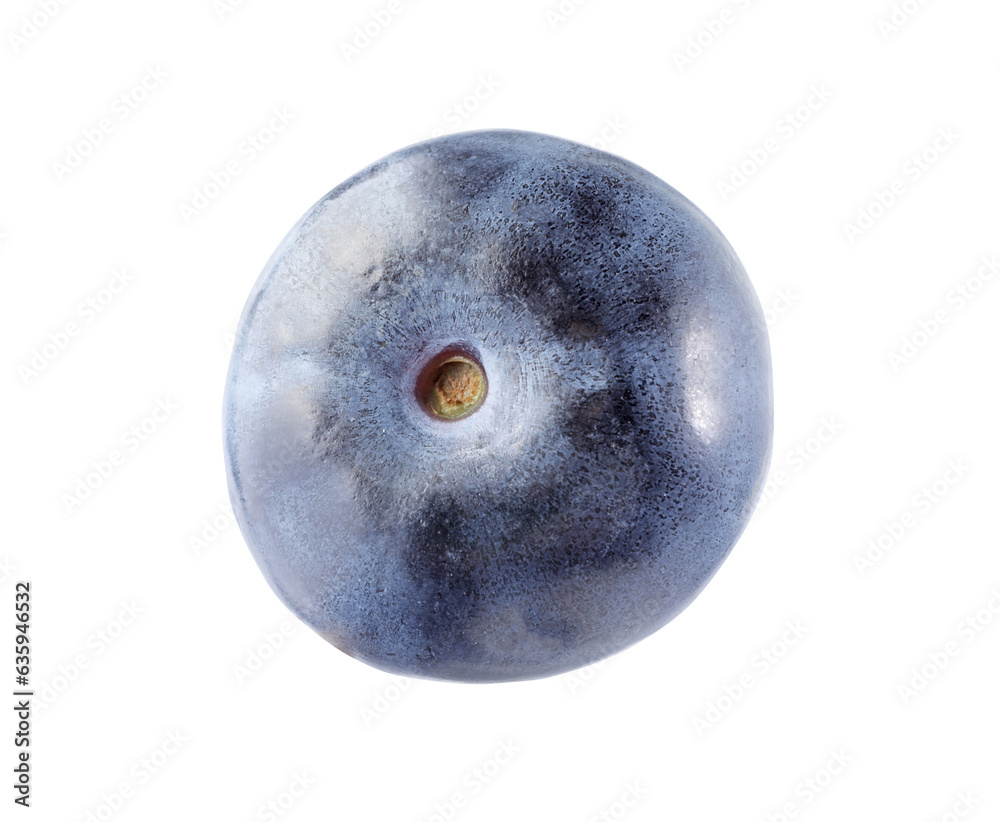 Fototapeta premium One fresh ripe blueberry isolated on white
