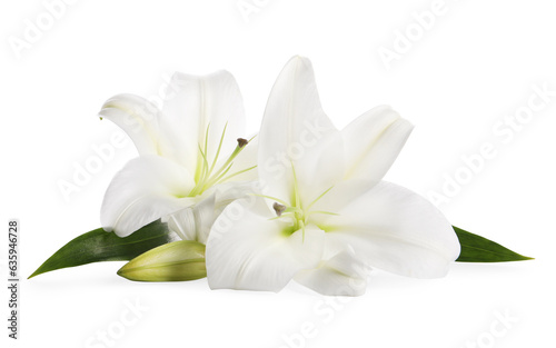 Beautiful fresh lily flowers isolated on white