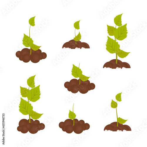 Sprouts. The process of growth. Vector set in the flat style.