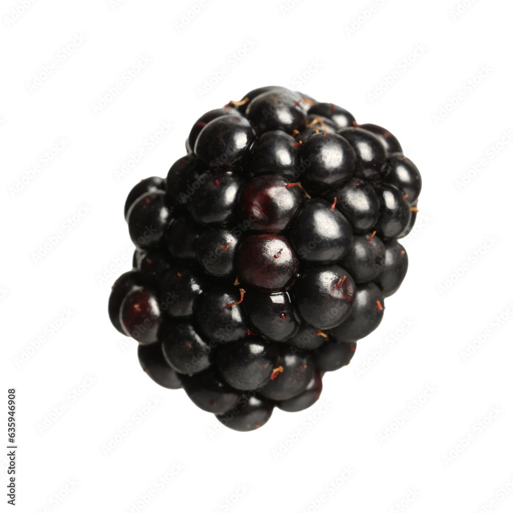 One tasty ripe blackberry isolated on white One tasty ripe blackberry isolated on white