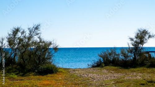 The coastal area around the city of Vada, Tuscany Italy.