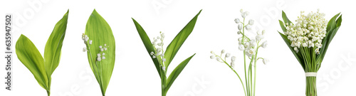 Set of beautiful lily of the valley flowers with green leaves on white background