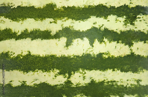 Green striped rind of watermelon as background, closeup