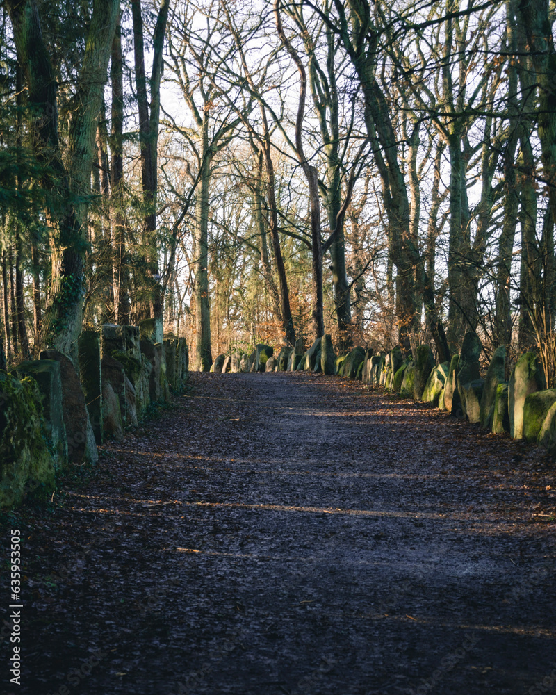 Fototapeta premium path with stones in Sachsenhain in Verden 