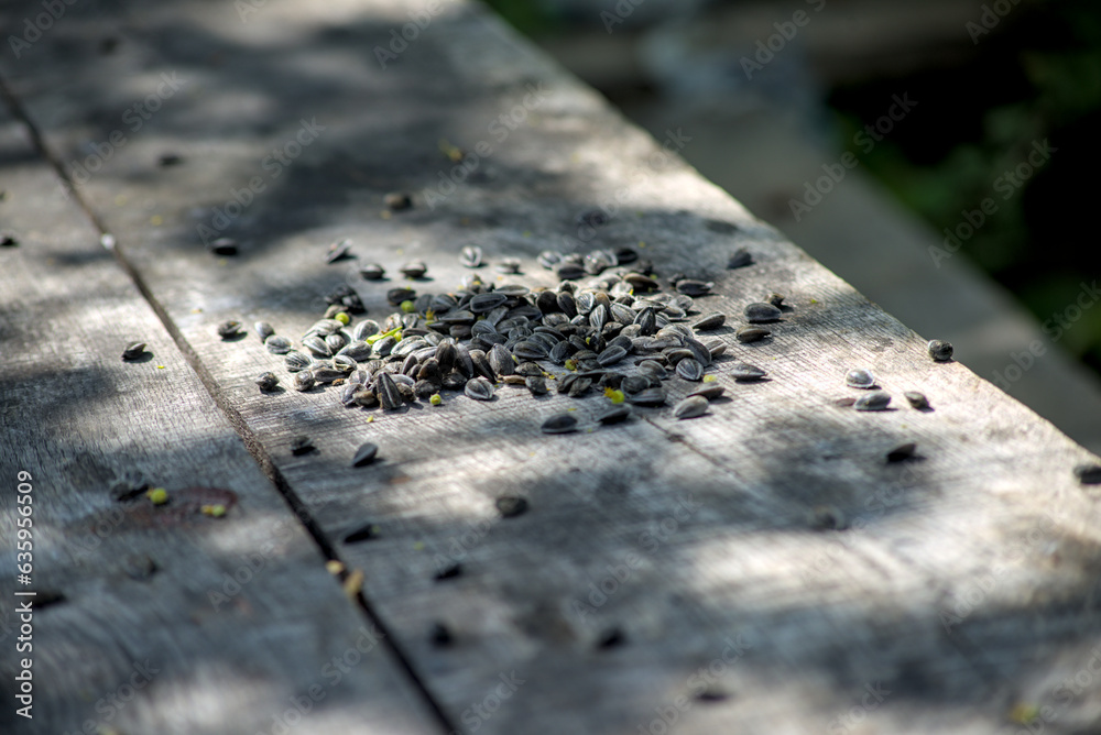 Pile of sunflower seeds on wooden table Pile of sunflower seeds on wooden table