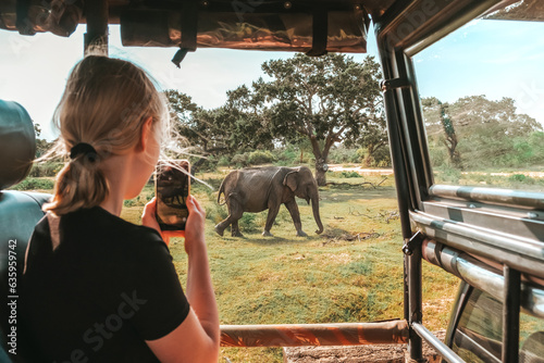 Photography Wildlife safari