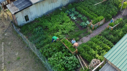 High wraparound aerial of mother and sons working in garden, sunset slow motion