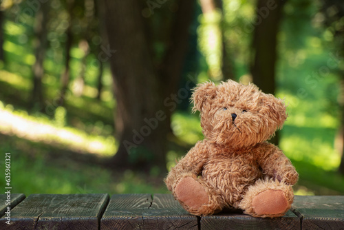 Teddy bears sit on a wooden board under the sun in Ukraine in the summer in the parks, a children's toy