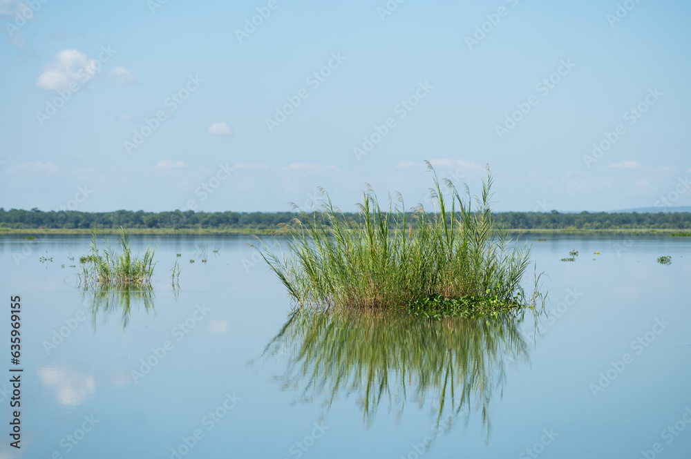 Fototapeta premium lake and sky