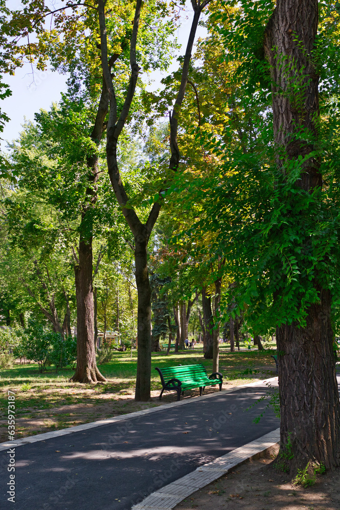 alley in the park Chisinau