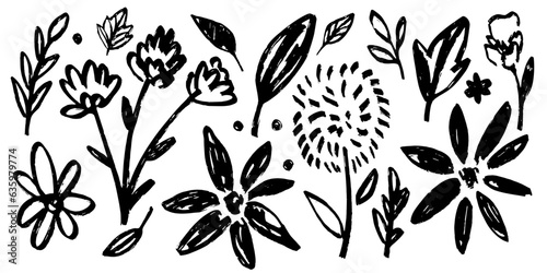 Set of flowers, leaves, floral stems. Primitive wild plants drawing with grunge brush. Black and white botanical elements. Vector illustration. Simple style plants