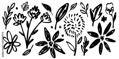 Wallpaper Mural Set of flowers, leaves, floral stems. Primitive wild plants drawing with grunge brush. Black and white botanical elements. Vector illustration. Simple style plants Torontodigital.ca