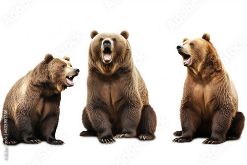 Wildlife animals bears banner Collection background