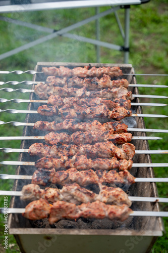 Schaschlik auf dem Grill