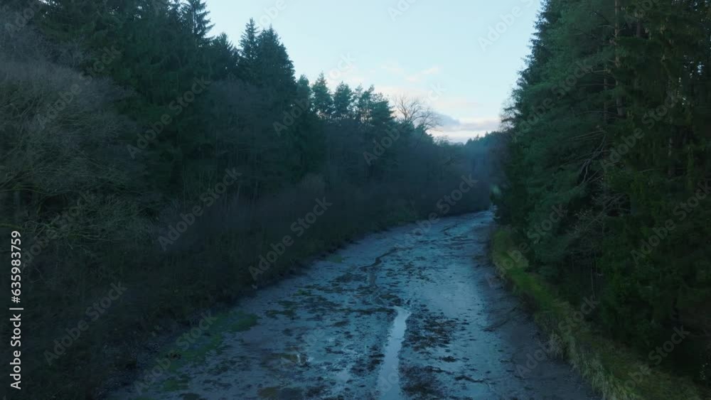 Drone view above a river between trees in a forests Drone view above a river between trees in a forests