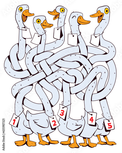 Funny geese with long, tangled necks. Children logic game to pass the maze. Educational game for kids. Choose right path. Write correct answers. Funny cartoon character. Isolated on white background