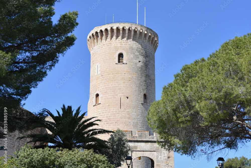 Medieval Spanish Castle Tower Flanked by Trees
