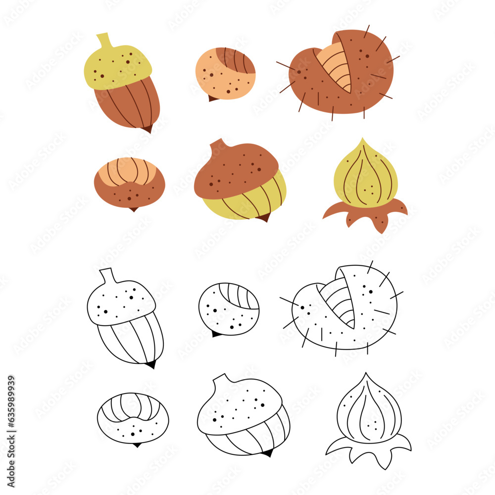 Set of abstract nuts and physalis. Black and white and color clipart vector illustration. Set of abstract nuts and physalis. Black and white and color clipart vector illustration.