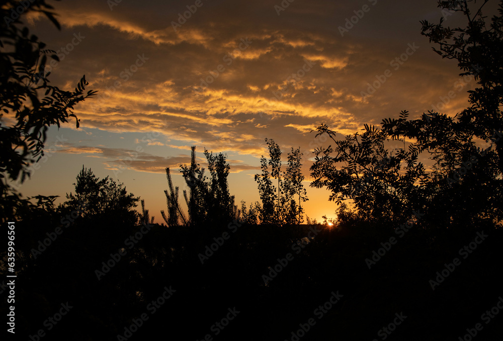 Bright saturated orange sky, unusual sunset, black forest in the background.