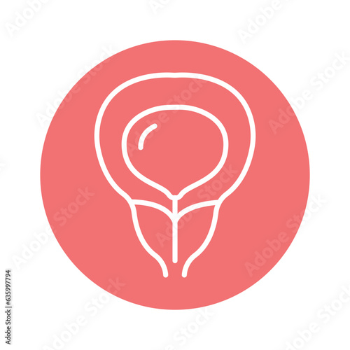 Human organ bladder line icon. Isolated vector element.
