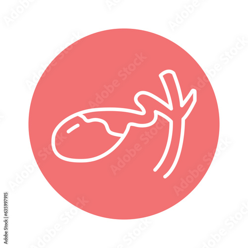 Human organ gall bladder line icon. Isolated vector element.