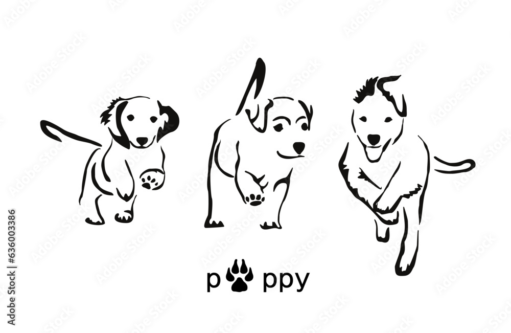Three running puppies: Dachshund, Labrador and Australian Shepherd. Gestalt animal image