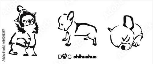 A set of images of a funny little dog. Different poses of a Chihuahua puppy. Stylized gestalt image of an animal