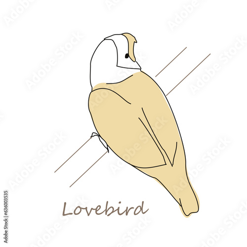 An image of a lovebird parrot. Linear drawing of a bird