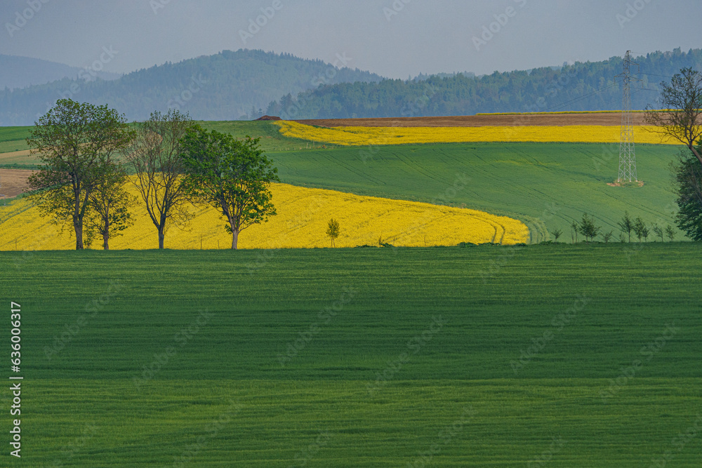 Obraz premium rows of power pylons running through picturesque fields
