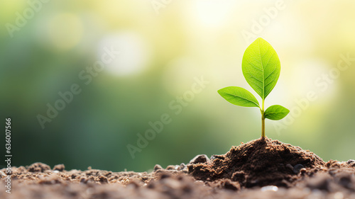 Green seedling illustrating concept of new life and growing with nature background