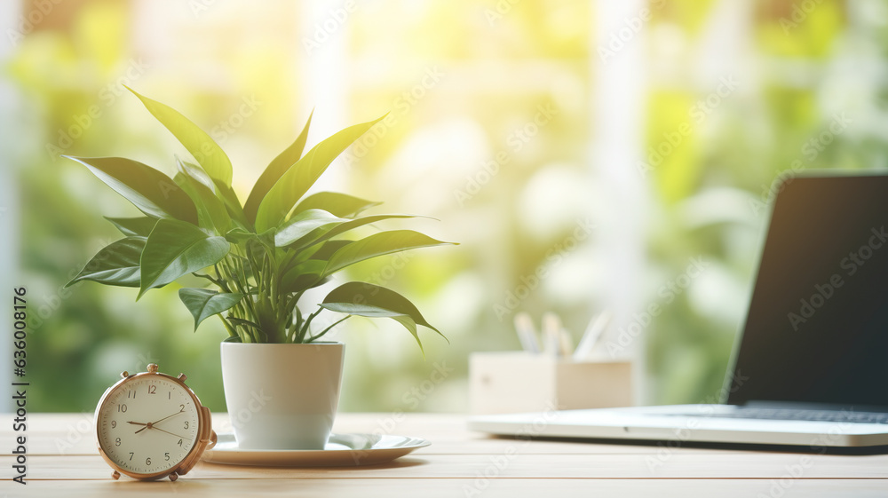 Office desk with laptop,
alarm clock and plant in pot on wooden table with sunlight. Office desk with laptop,
alarm clock and plant in pot on wooden table with sunlight.