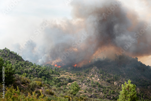 Incêndio florestal com grandes labaredas a queimar o monte com uma enorme nuvem de fumo no ar 