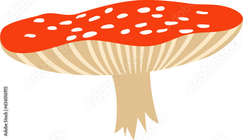 Fotografi Fly Agaric Mushroom
