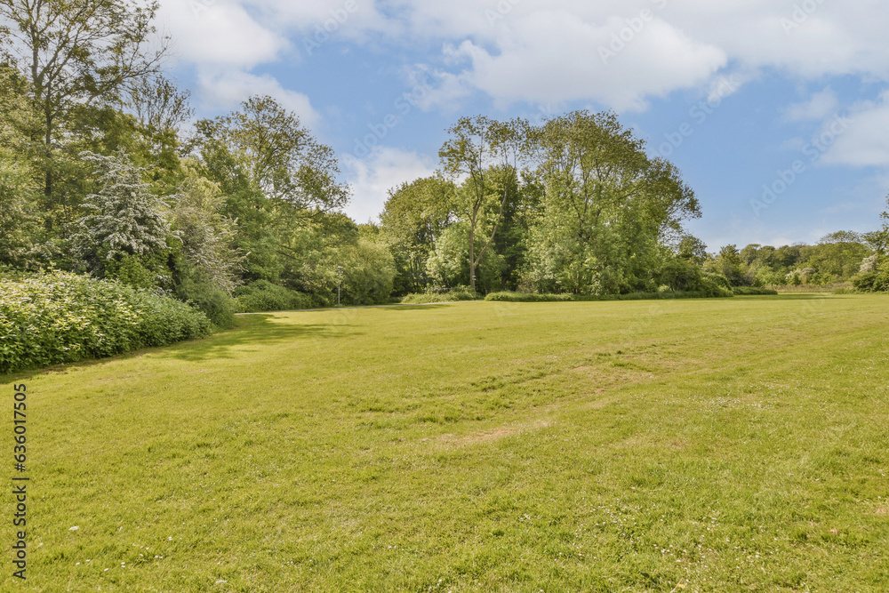 a grassy field with trees and bushes in the background on a bright sunny day, as seen from the ground