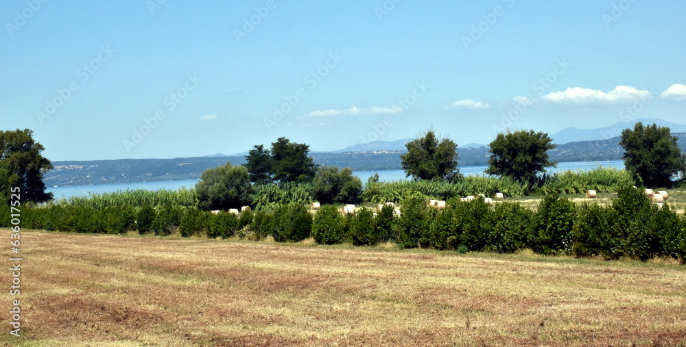 Der Bolsenasee hinter Feldern und Bäumen Der Bolsenasee hinter Feldern und Bäumen