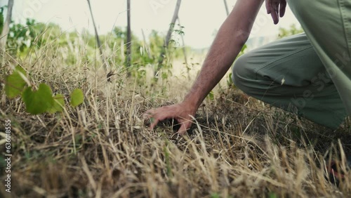 Male hand collecting dry grass in the ground