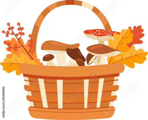 Basket With Mushrooms And Leaves