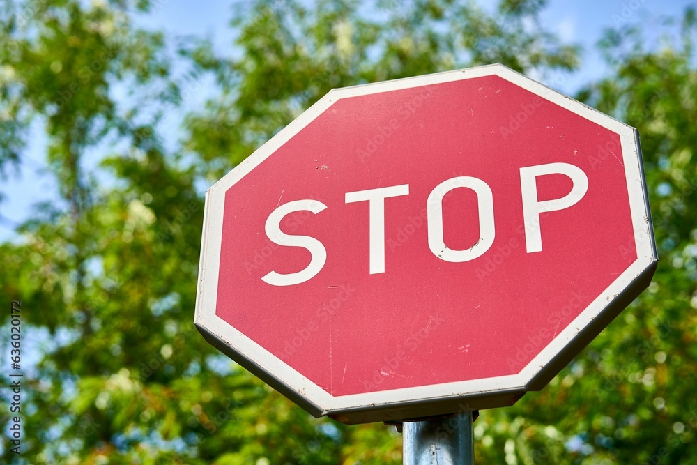 Stop sign on the background of lush green trees Stop sign on the background of lush green trees