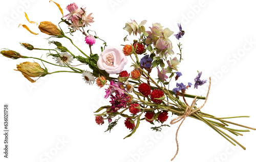Fototapeta Naklejka Na Ścianę i Meble -  a Beautiful Bouquet of Mixed Dried Flowers- Ready to use PNG Cutout Premium Isolated Image