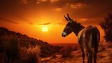 Donkey observing sunset in Bulgaria and its unique European form. silhouette concept
