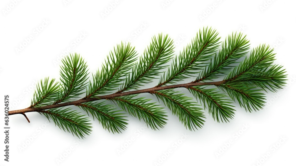 Christmas tree branch with pine cones. silhouette concept