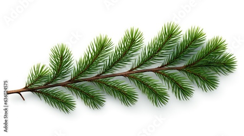 Christmas tree branch with pine cones. silhouette concept