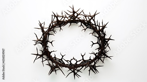 White background top view of crown of thorns. silhouette concept