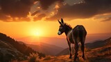 Donkey observing sunset in Bulgaria and its unique European form. silhouette concept