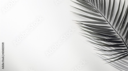 Abstract natural concept white wall with blurred palm leaf shadow Space for text overlay effect for design. silhouette concept © HN Works