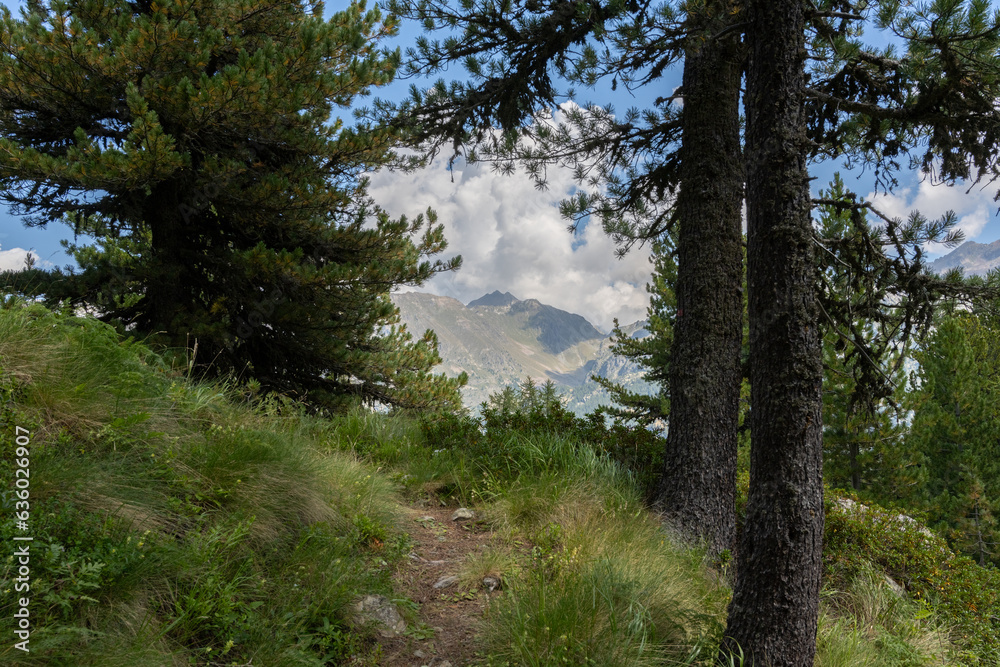 Monte Rosa is the largest mountain massif in the Alps Monte Rosa is the largest mountain massif in the Alps
