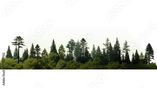 Fotografering High definition view of trees and shrubs in a summer forest isolated on white