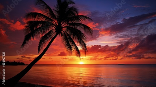 Gorgeous sundown featuring palm trees silhouette